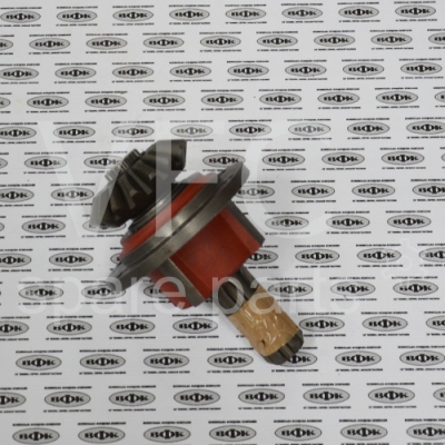 Лопатка права — Photo 2